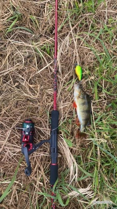 MITCHELL Canne à Pêche 2 MITCHELL Canne à Pêche – Image 2